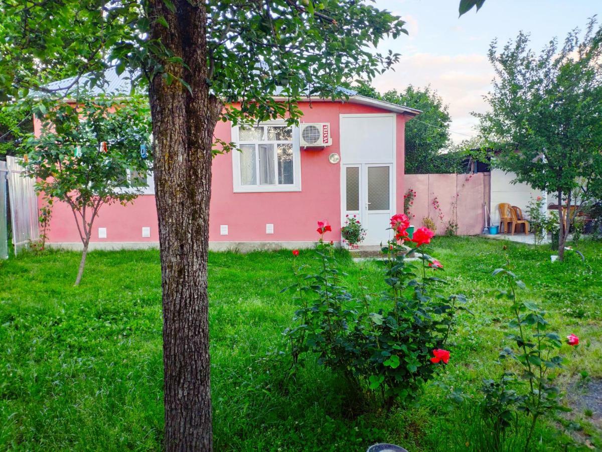 Qafqaz Resort Family House Gabala Bagian luar foto